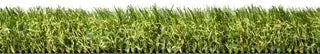 Artificial Grass Megan 40