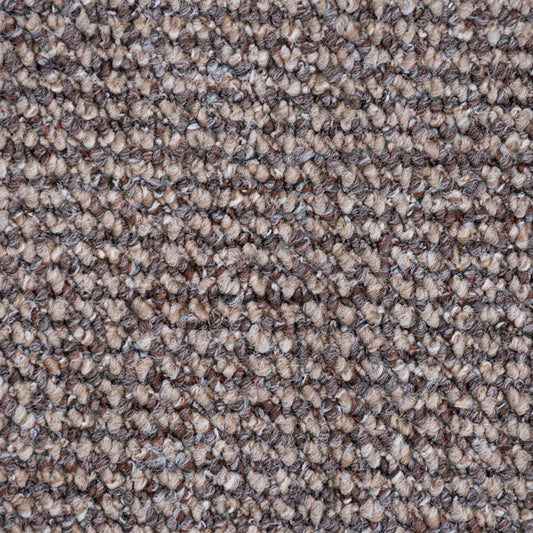 Hercules Loop Feltback Carpet - Taupe